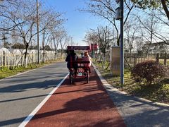 -上海长兴岛郊野公园