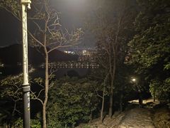-风云岭森林公园