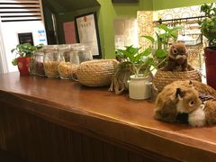 -狐狸家·酸奶酪专门店(平江路店)