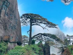 -黄山风景区