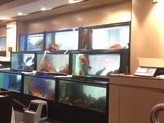 -金唐海鲜酒家