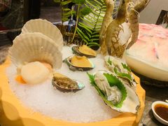 -东颖龙肥牛王(绵阳店)