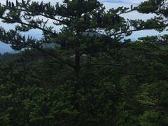 -峨嵋山金顶