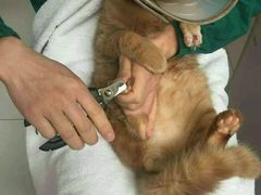 -惠康宠物医院(华能路店)