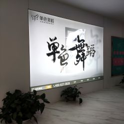 -单色舞蹈
