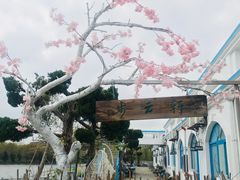 -日照海滨国家森林公园