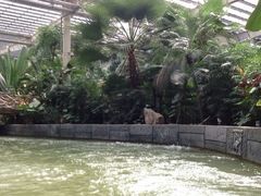 iphone_upload_pic-龙达温泉生态城