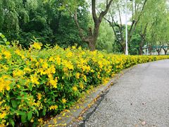 -白塘生态植物园