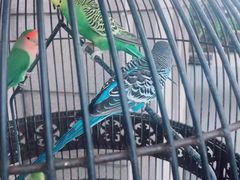 -老味道民宿(栈桥店)