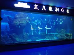 -多彩贵州城极地海洋世界