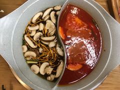 -青瓷火锅料理(西单大悦城店)