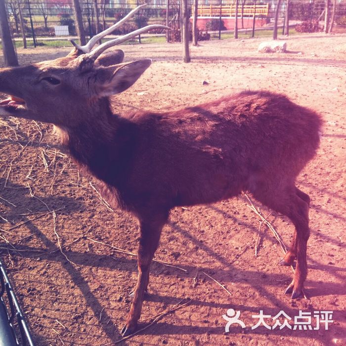 江苏溱湖动物园