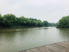 -中国湿地博物馆