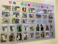 -全心全意连锁动物医院·微创中心·内科急重症·心脏专科(丰管路店)