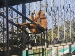 -宁波野生动物园