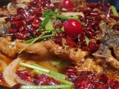 -老板恋上鱼(恒隆广场店)