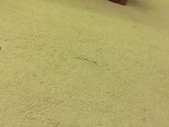 -月亮湖