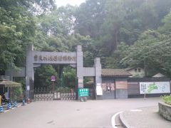 -大金鹰园