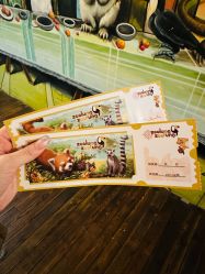 -Zoolung Zoolung动物主题公园(海信广场店)