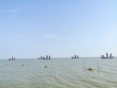 -贡湖湾湿地公园