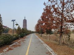 -高旻寺