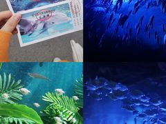 -秦皇岛新澳海底世界