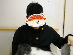 -李小姐の猫咖啡馆(五角场店)