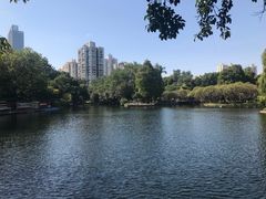 -晓港公园
