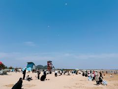 -日照海滨国家森林公园