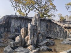 -武汉动物园