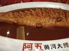 -阿五黄河大鲤鱼(纬三路店)
