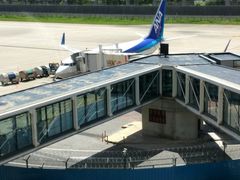 -全日本空输株式会社(上海办事处)