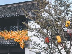 -青果巷历史文化街区