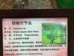 -上海大自然野生昆虫馆(东方明珠·爬宠昆虫探索中心)