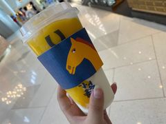 -春丽小马(济南恒隆广场店)