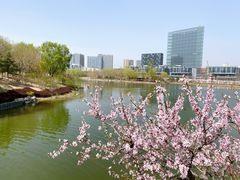 -大兴滨河森林公园