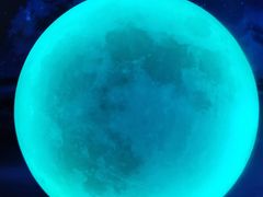 -天津梵高星空艺术馆(天河城旗舰店)