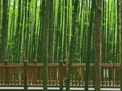 -山王坪喀斯特国家生态公园