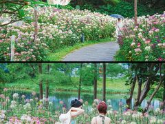 -云溪植物园