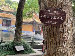 -舟山希尔顿酒店