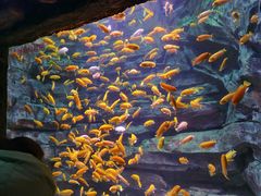 -多彩贵州城极地海洋世界