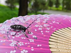 -长春市南湖公园