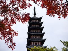 -上海方塔园