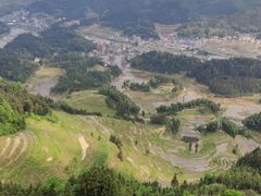 -紫鹊界梯田景区