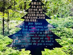 -五营国家森林公园