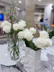 -酉嘉瑜伽YO+YOGA