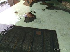 -新加坡水上探险乐园