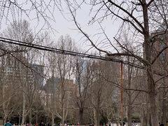 -团结湖公园