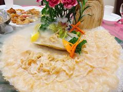 象拔蚌刺身-轩记海鲜餐厅·四十五年老字号·经典粤菜(西区彩虹店)