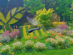 -上海共青森林公园